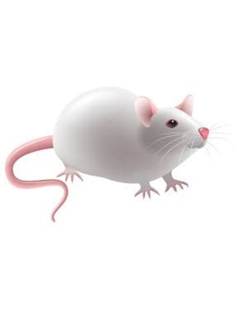 feeder mice near me feeder mice near me
