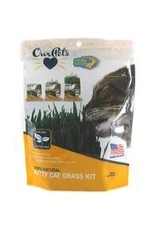 OURPETS COMPANY OurPets COSMIC KITTY CAT GRASS .88 oz.