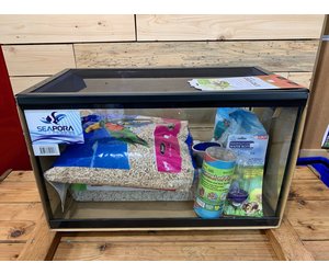 dwarf hamster starter kit