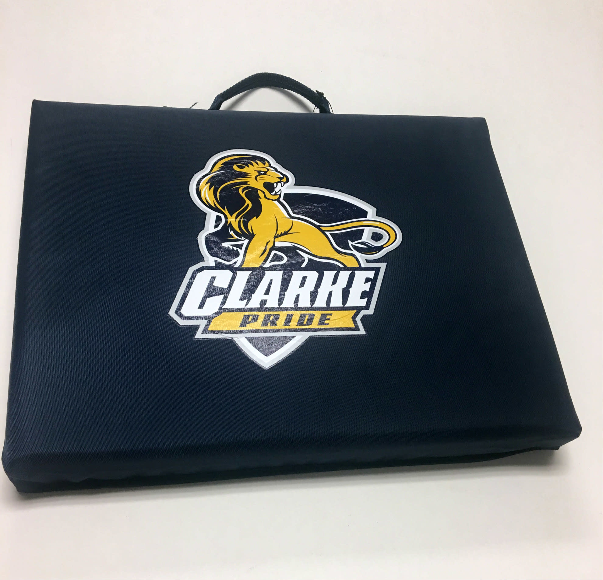 https://cdn.shoplightspeed.com/shops/635115/files/23388956/clarke-university-bleacher-cushion-14x11x175.jpg