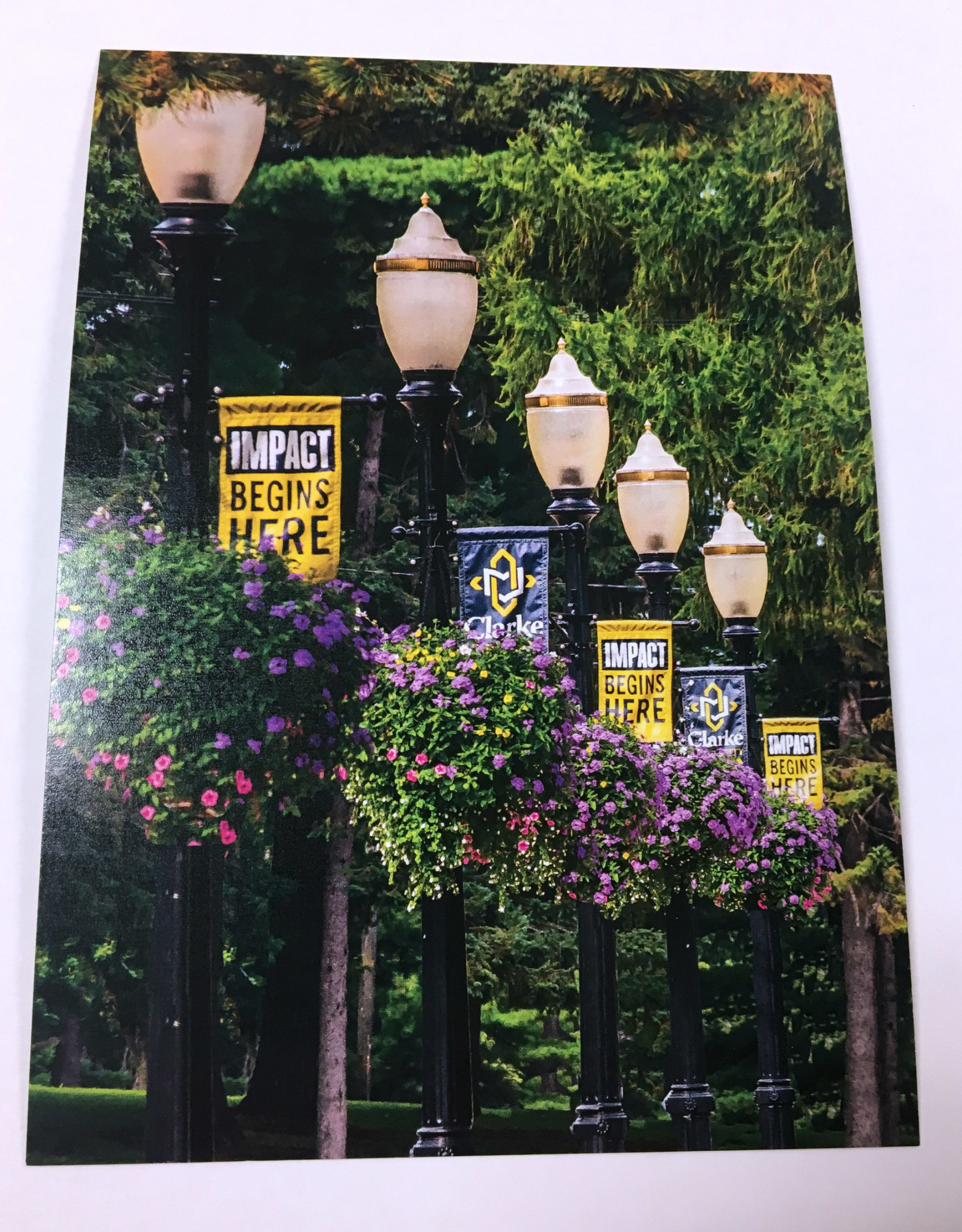 Clarke University Photo Postcards