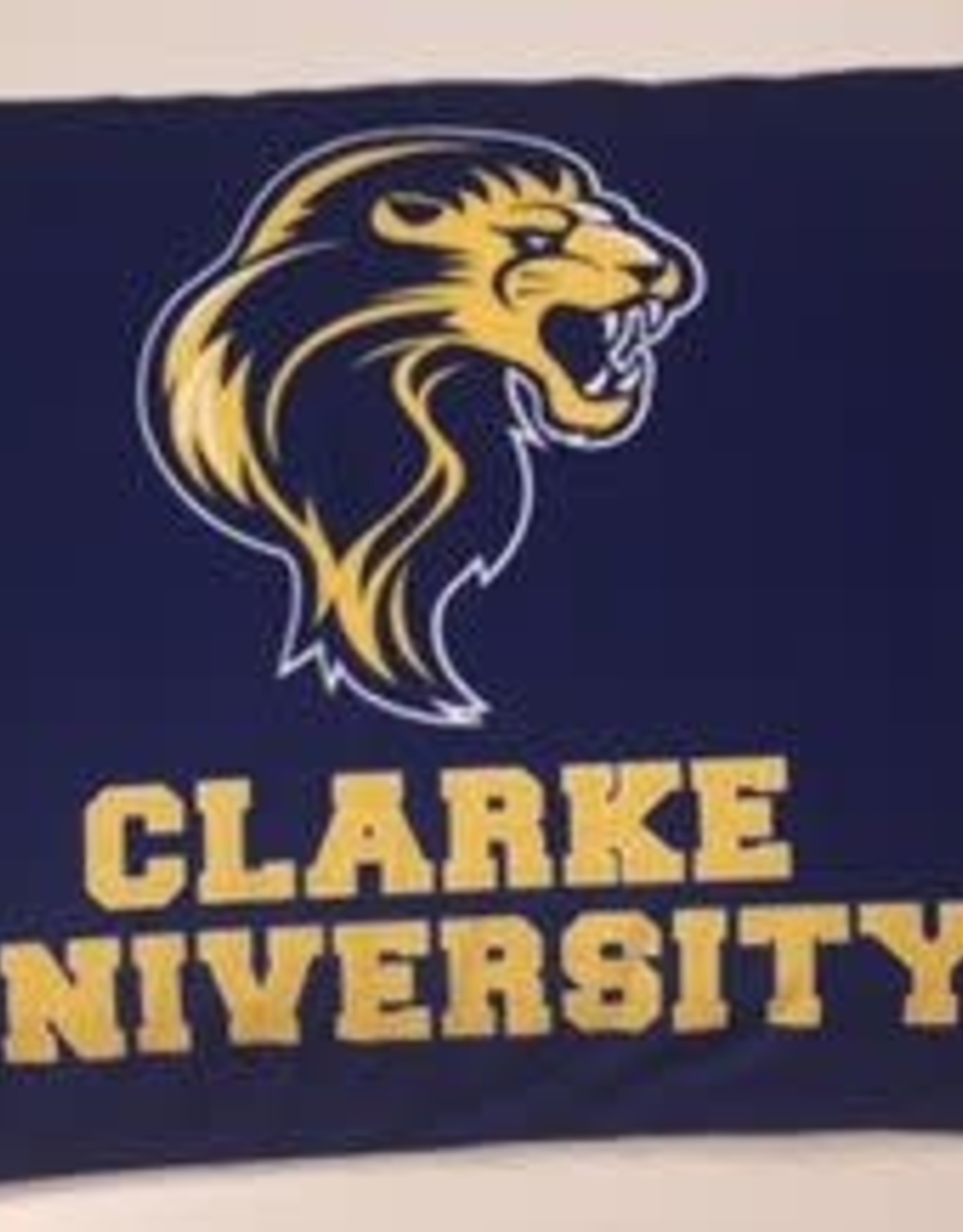 Clarke University Pillow Case