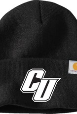 Carhartt Winter Beanie (Black)