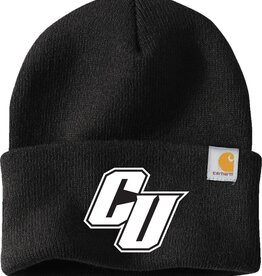 Carhartt Winter Beanie (Black)