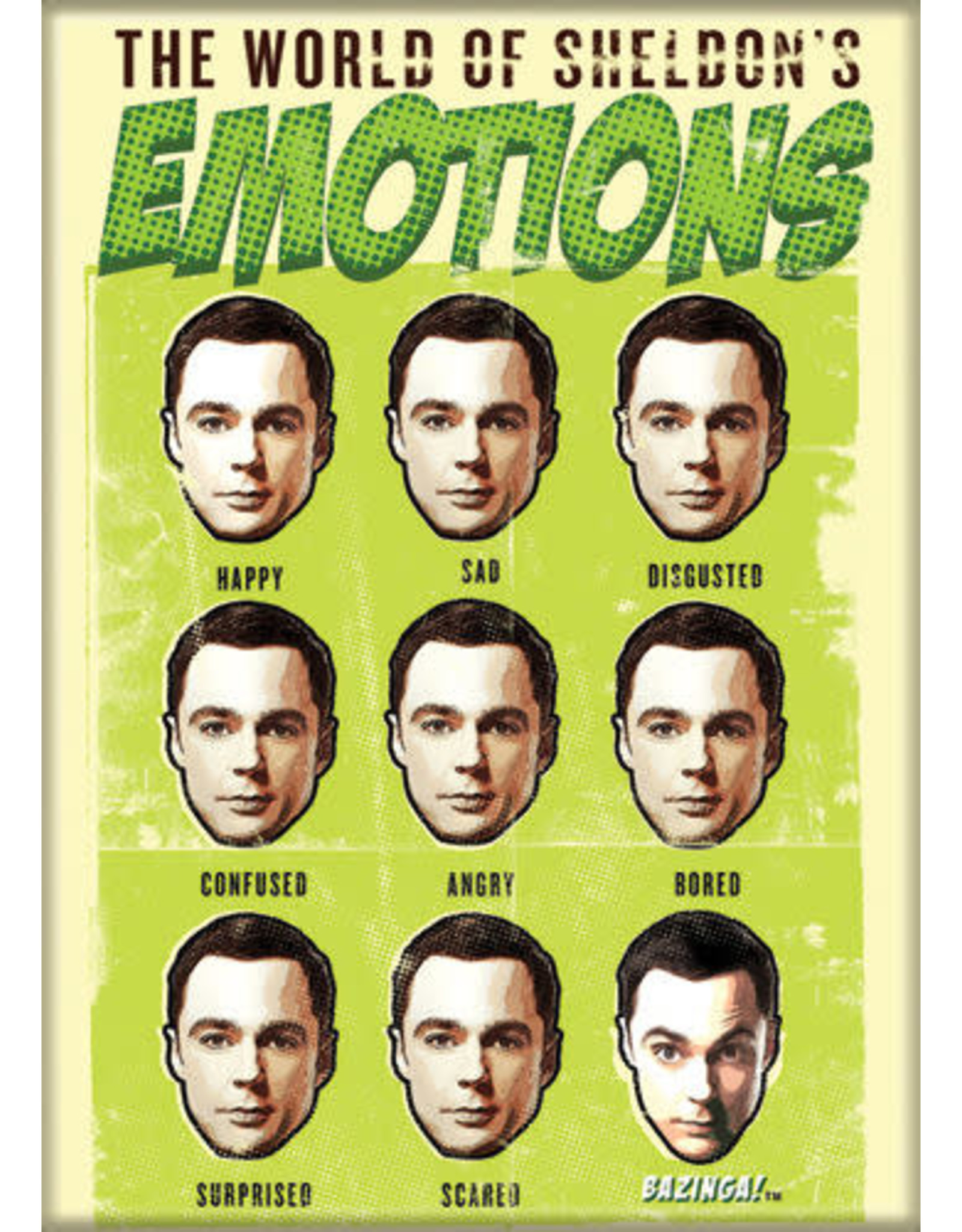 Big Bang Theroy World of Sheldon's Emotions Flat Magnet