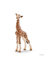 Schleich Giraffe Calf