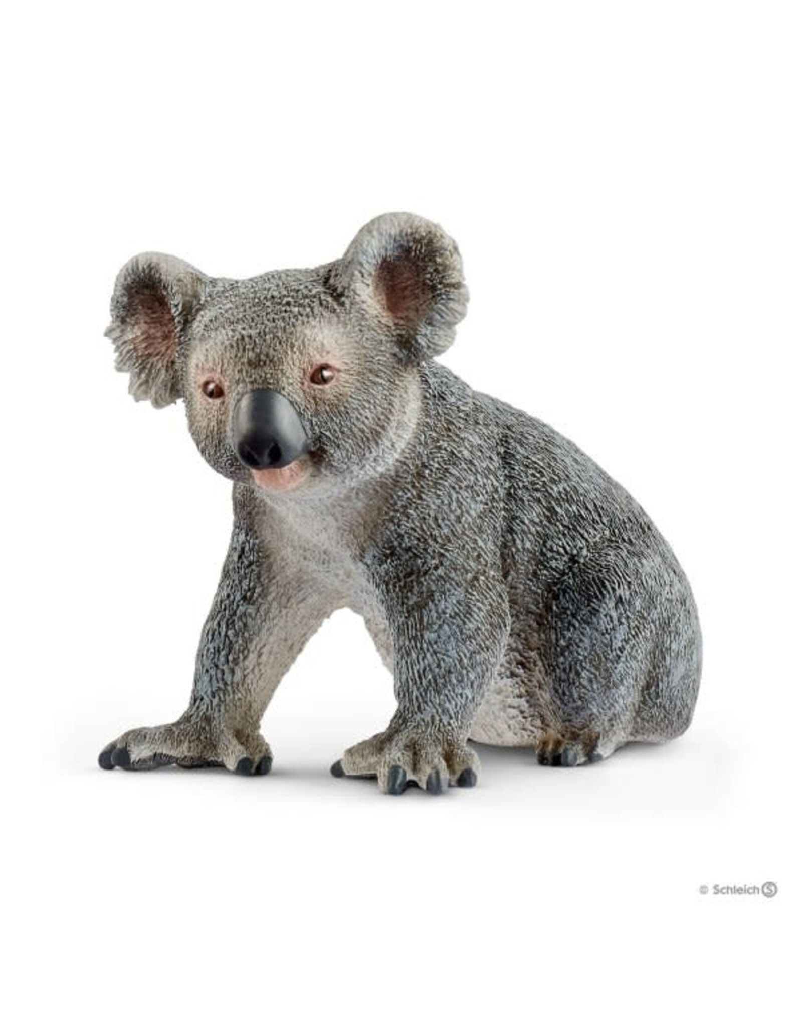 koala bear toy