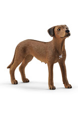 Schleich Rhodesian Ridgeback