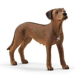 Schleich Rhodesian Ridgeback