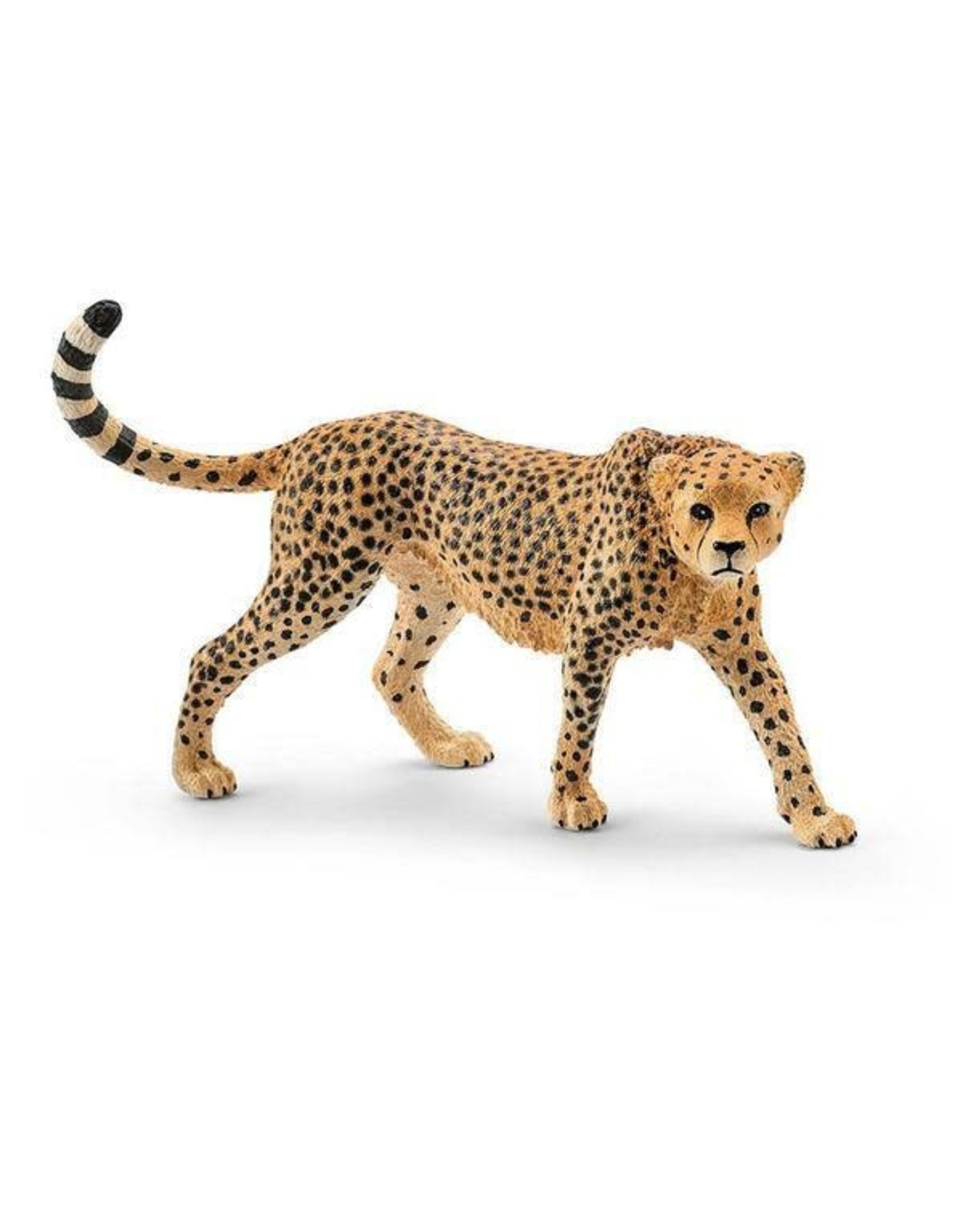 Schleich Cheetah, Female