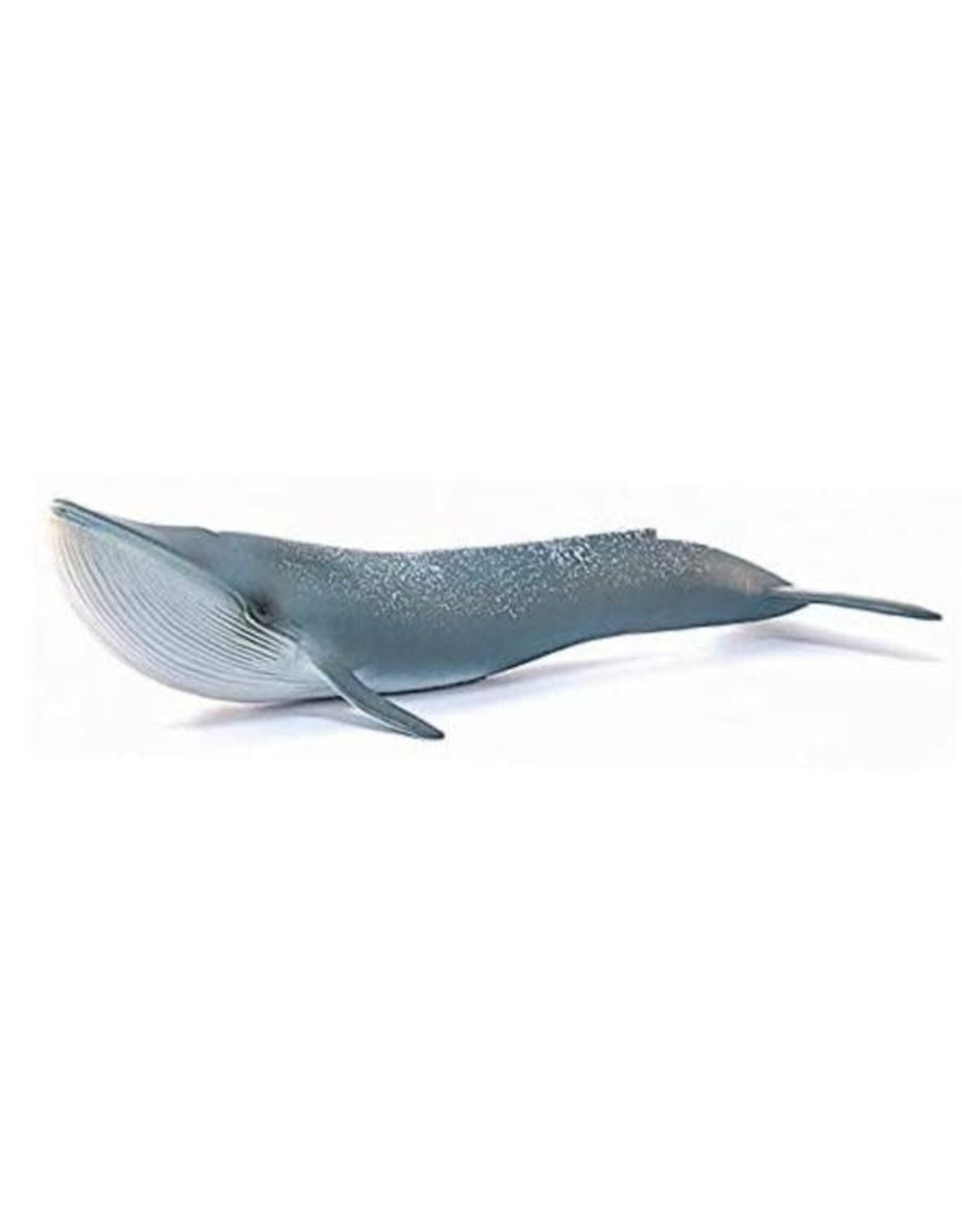 Schleich Blue Whale