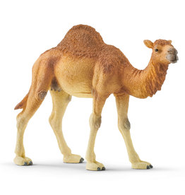 Schleich Dromedary