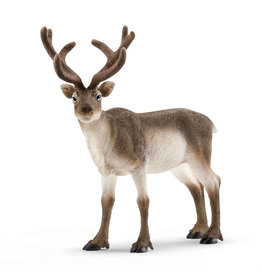 Schleich Reindeer