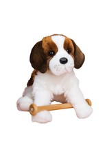 Douglas Oma St.Bernard