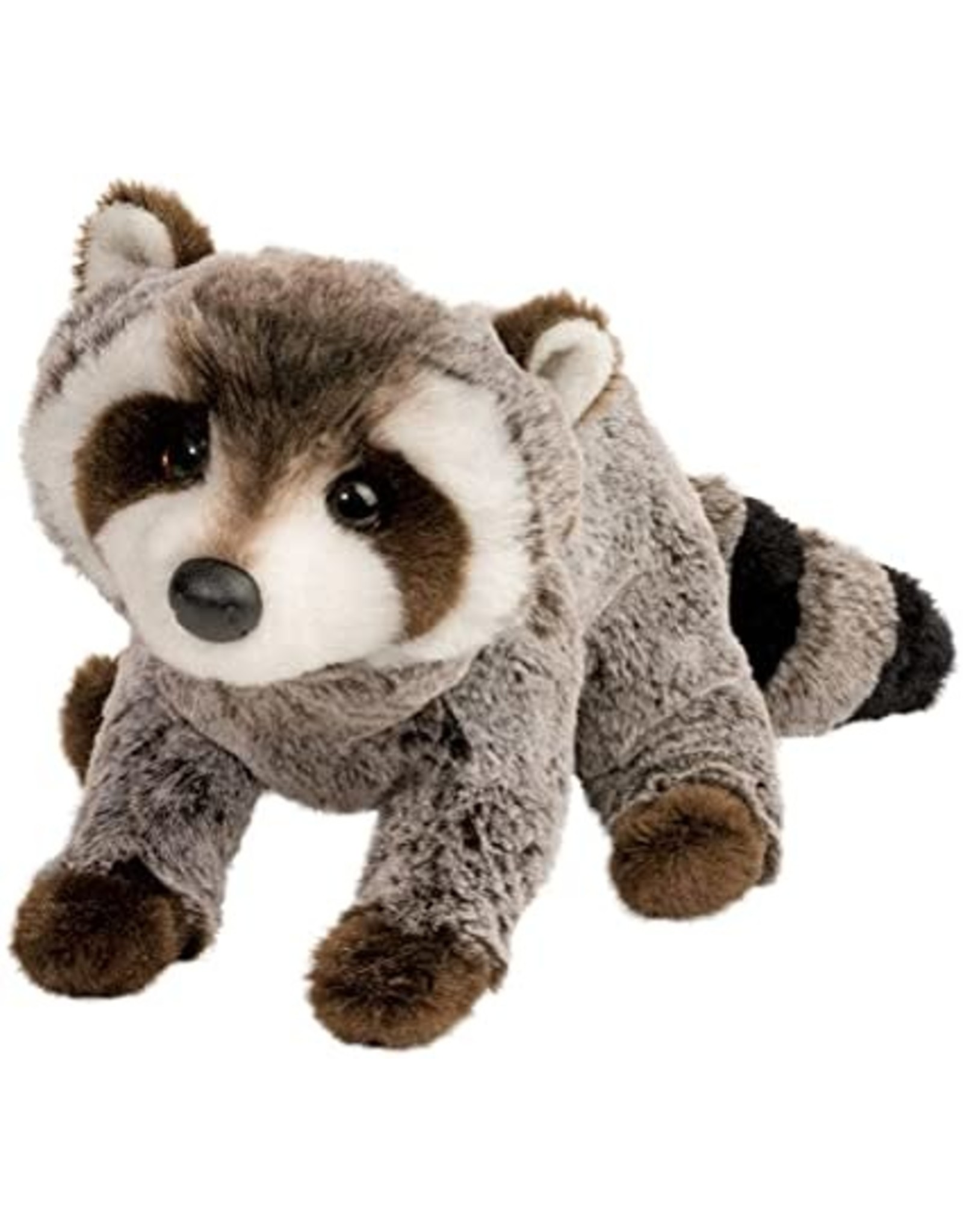 Douglas Ringo Raccoon