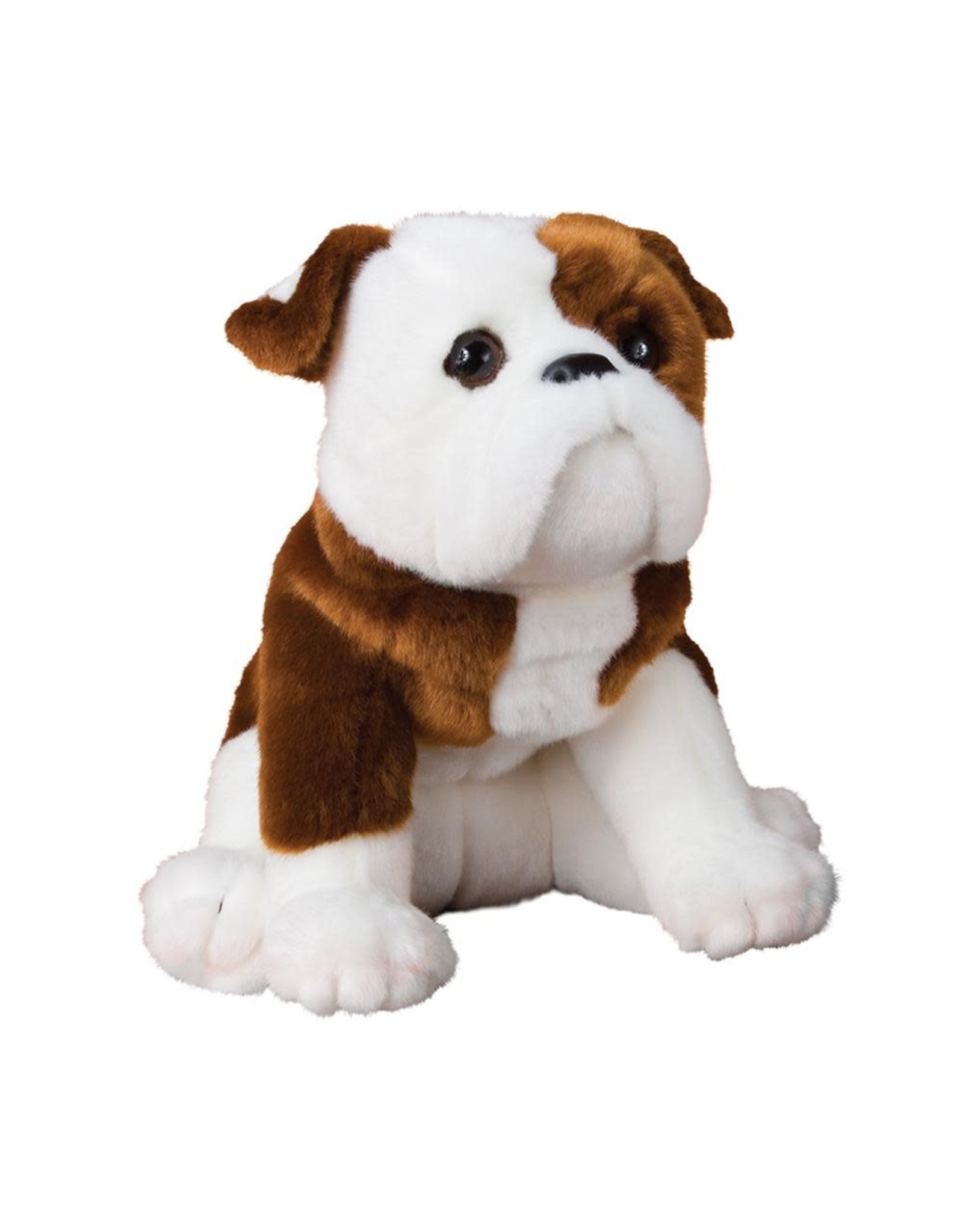 Douglas Hardy Bulldog