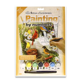 Royal & Langnickel Paint by Number: Garden Birds