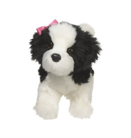 Douglas Poofy Shih-Tzu