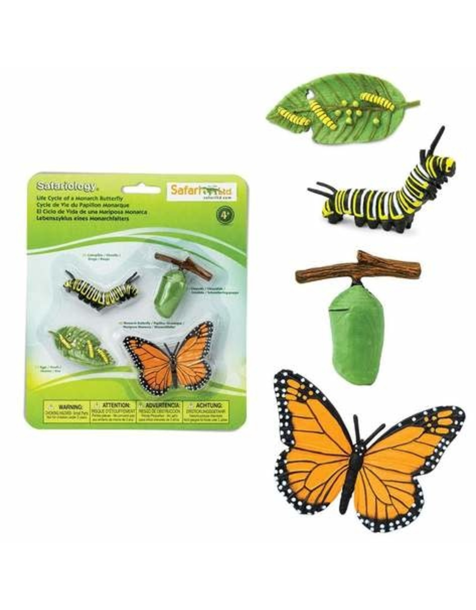 Safari Life Cycle of a Monarch Butterfly