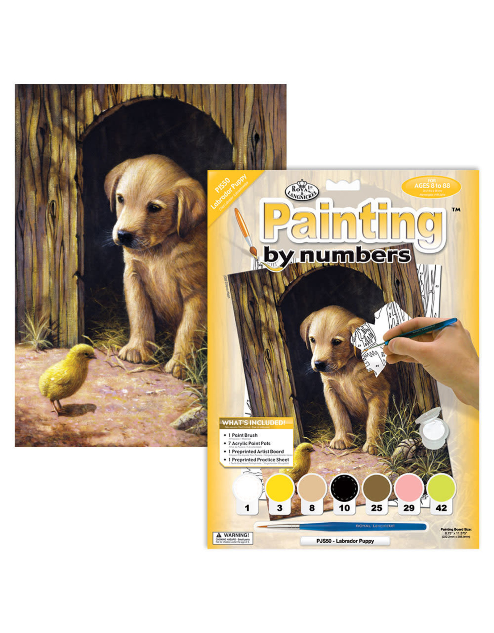 Royal & Langnickel Paint by Number: Labrador Puppy
