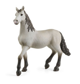 Schleich Pura Raza Española Young Horse