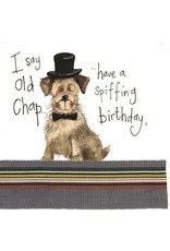 Alex Clark Art Posh Paws Birthday Card