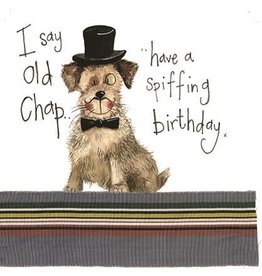Alex Clark Art Posh Paws Birthday Card