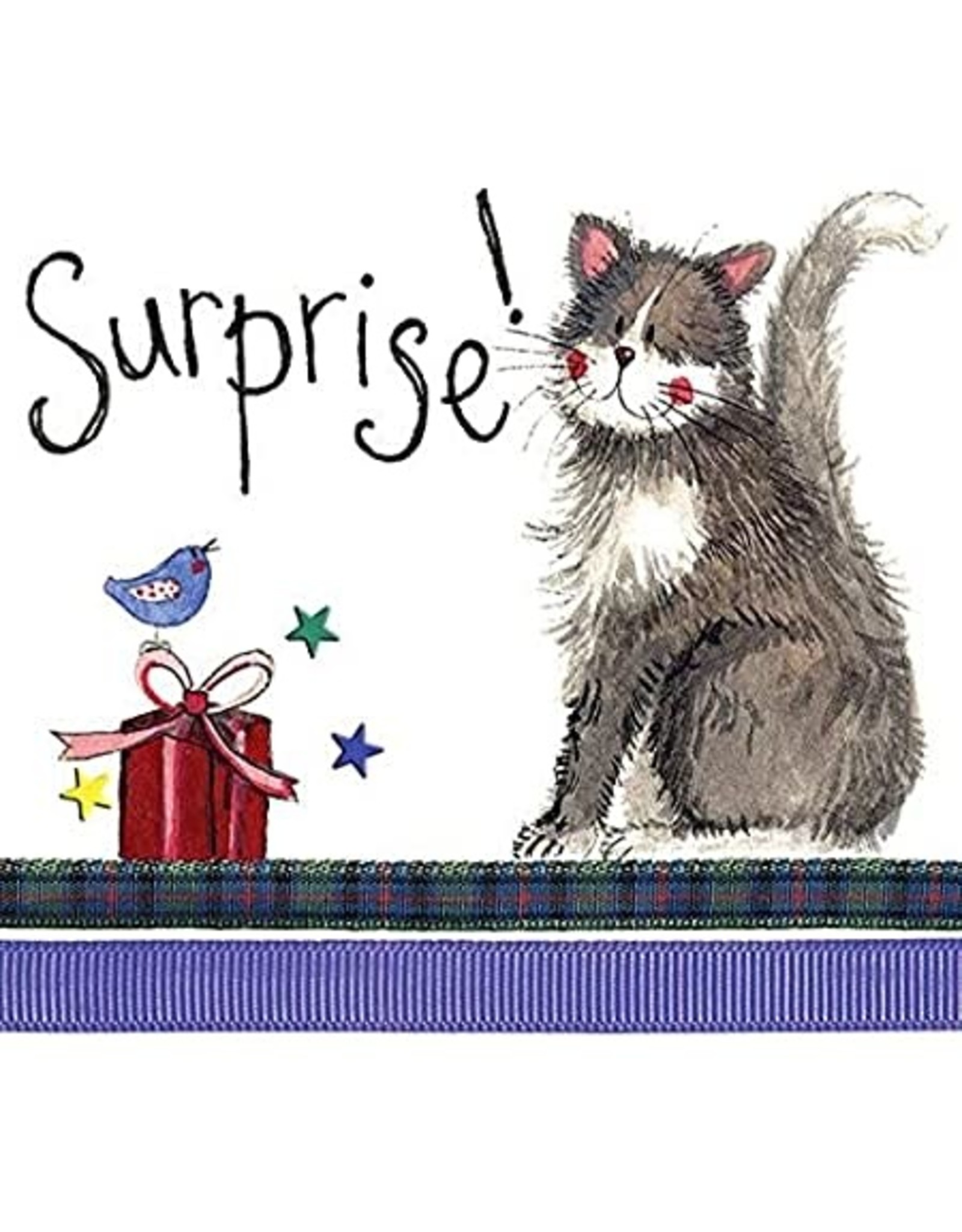 Alex Clark Art Surprise Birthday Card
