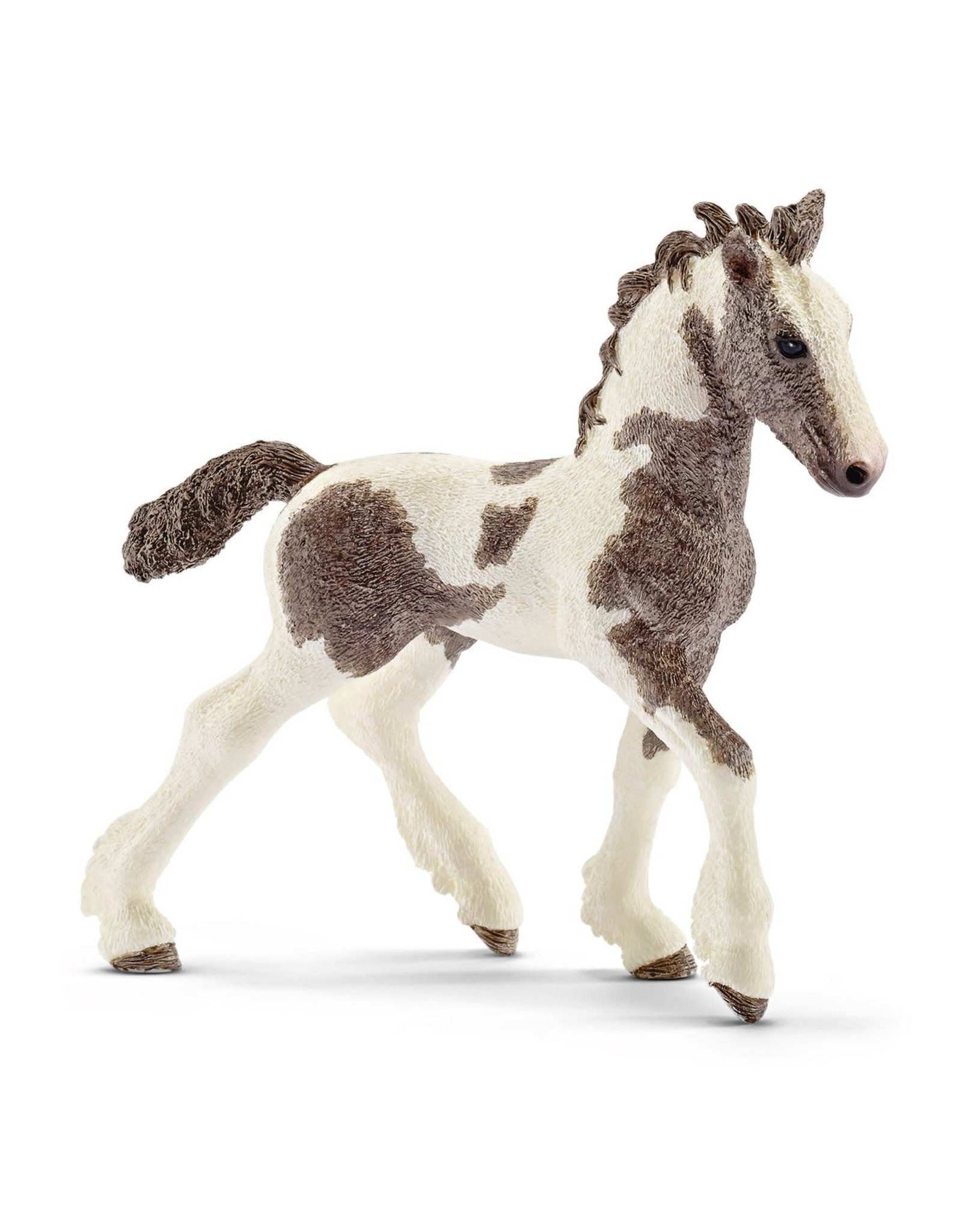 Schleich Tinker Foal