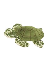 Douglas Toti Sea Turtle