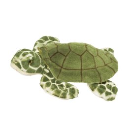 Douglas Toti Sea Turtle