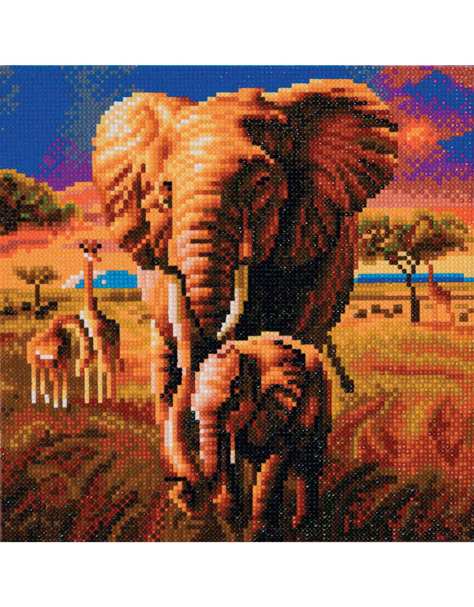 D.I.Y Crystal Art Kit Crystal Art Medium Framed Kit - Elephant of the Savannah