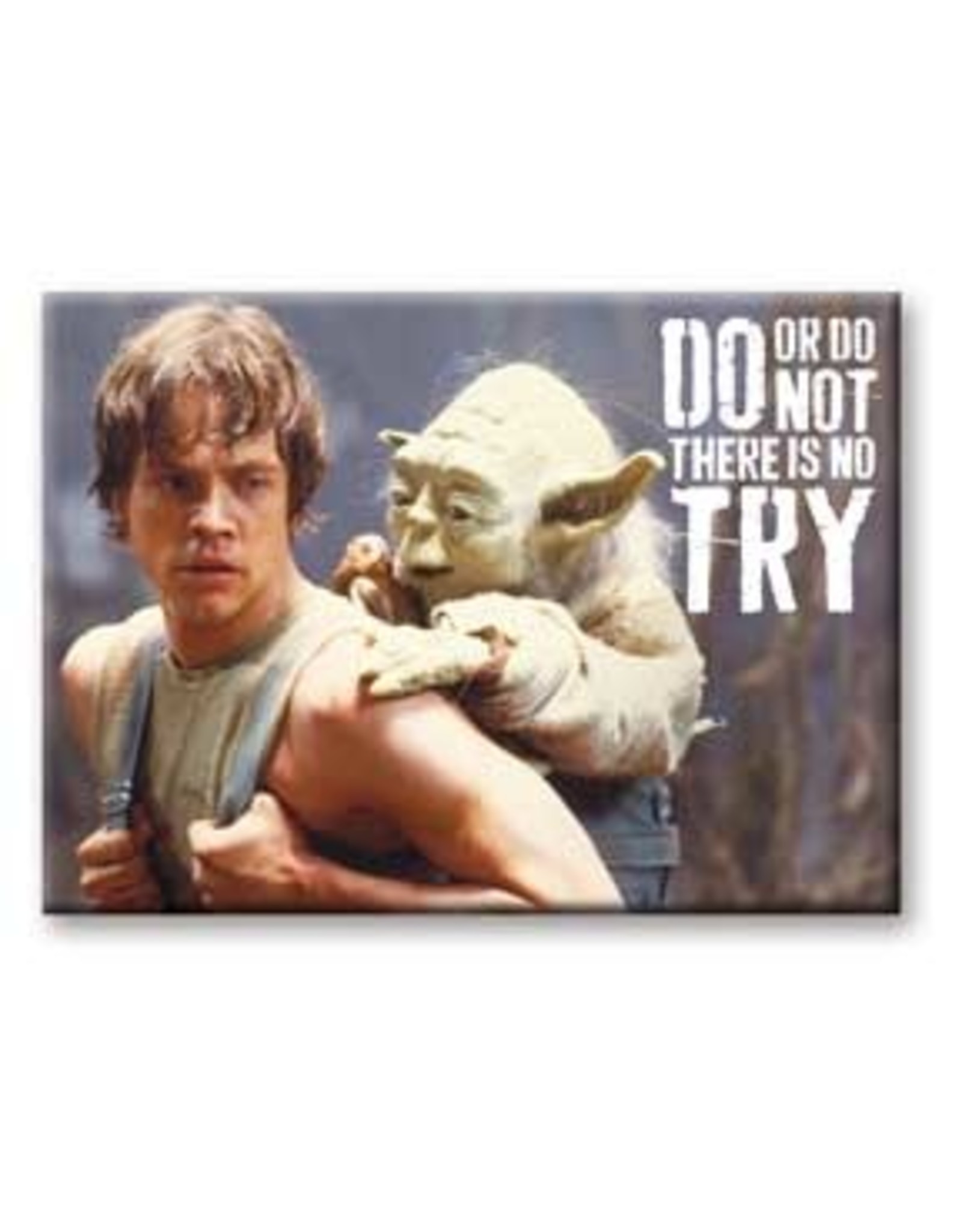 NMR Star Wars - Do, or Do Not Flat Magnet