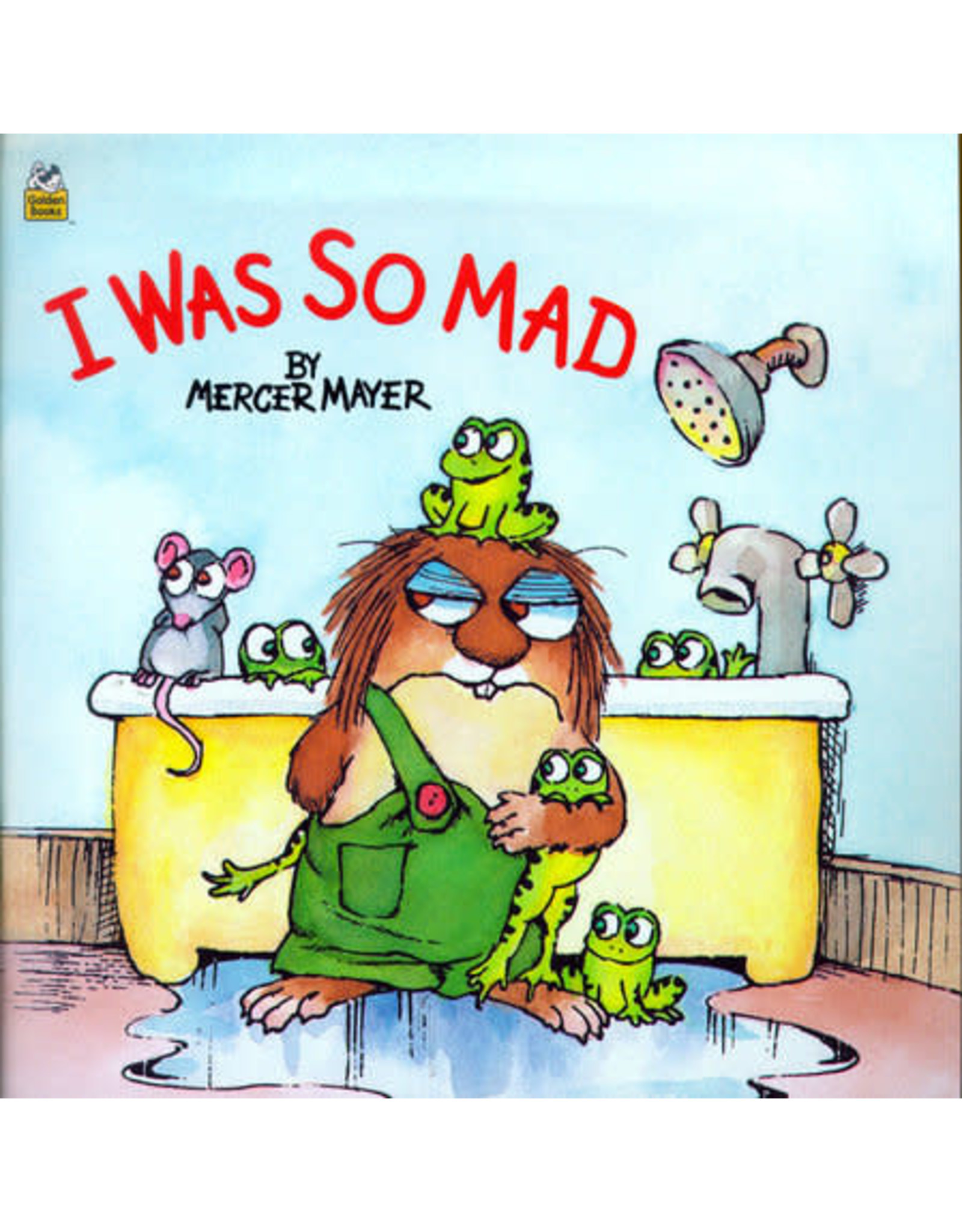 I Was So Mad (Little Critter)