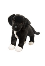 Douglas Twister Black Lab/Pitbull Mix