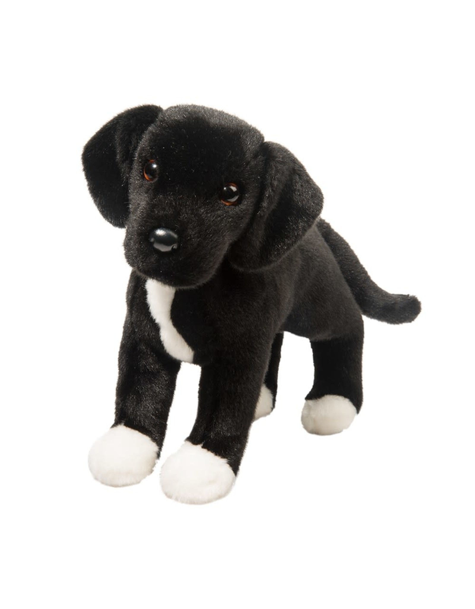 Douglas Twister Black Lab/Pitbull Mix