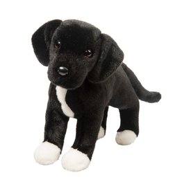 Douglas Twister Black Lab/Pitbull Mix