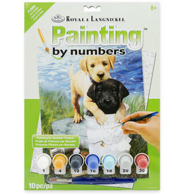 Royal & Langnickel Paint by Number: Fishin' Buddies