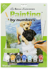 Royal & Langnickel Paint by Number: Fishin' Buddies