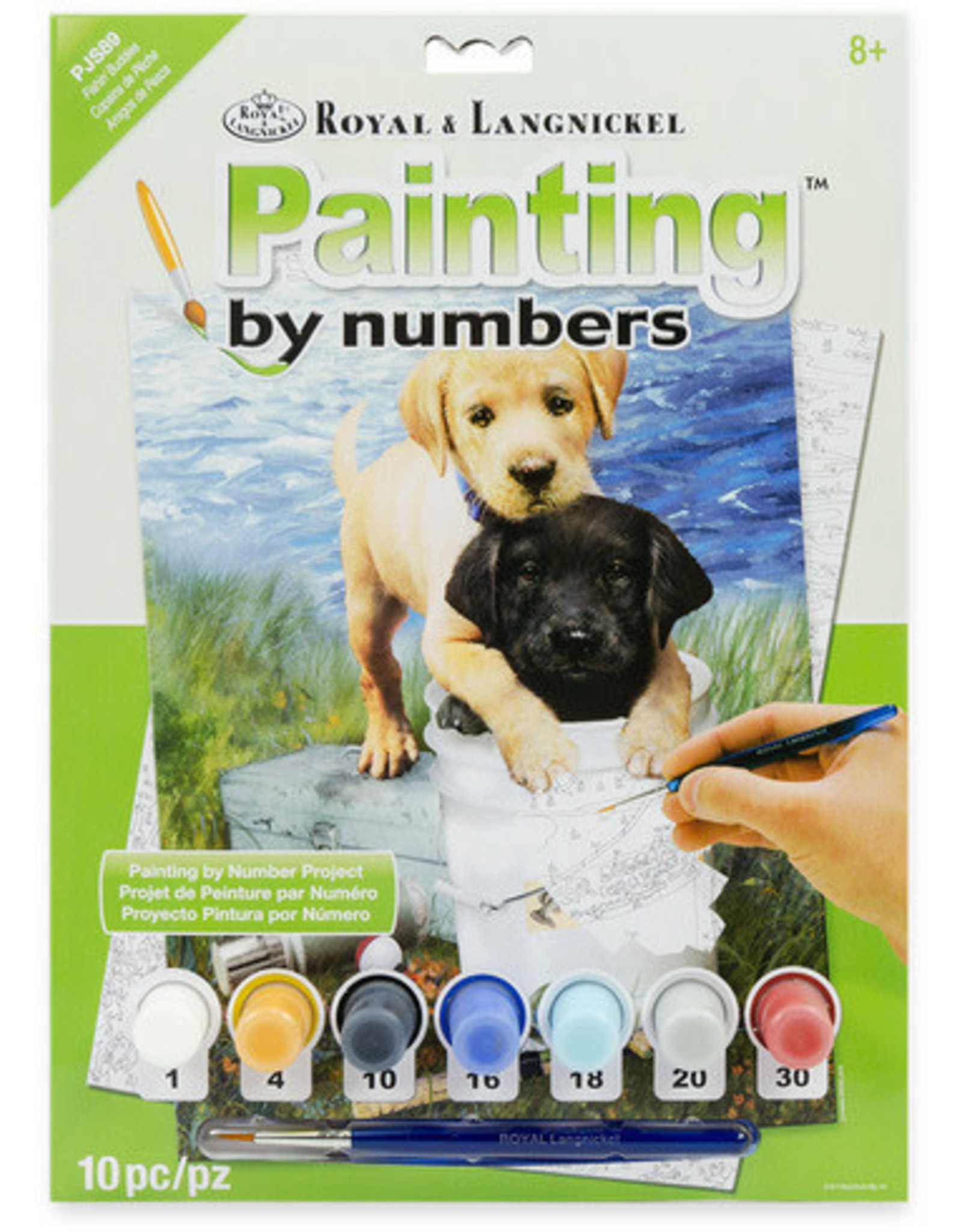 Royal & Langnickel Paint by Number: Fishin' Buddies