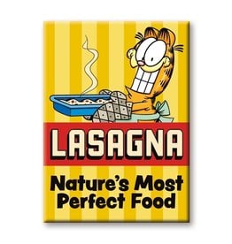 NMR Garfield Lasagna Flat Magnet