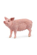 Schleich Pig