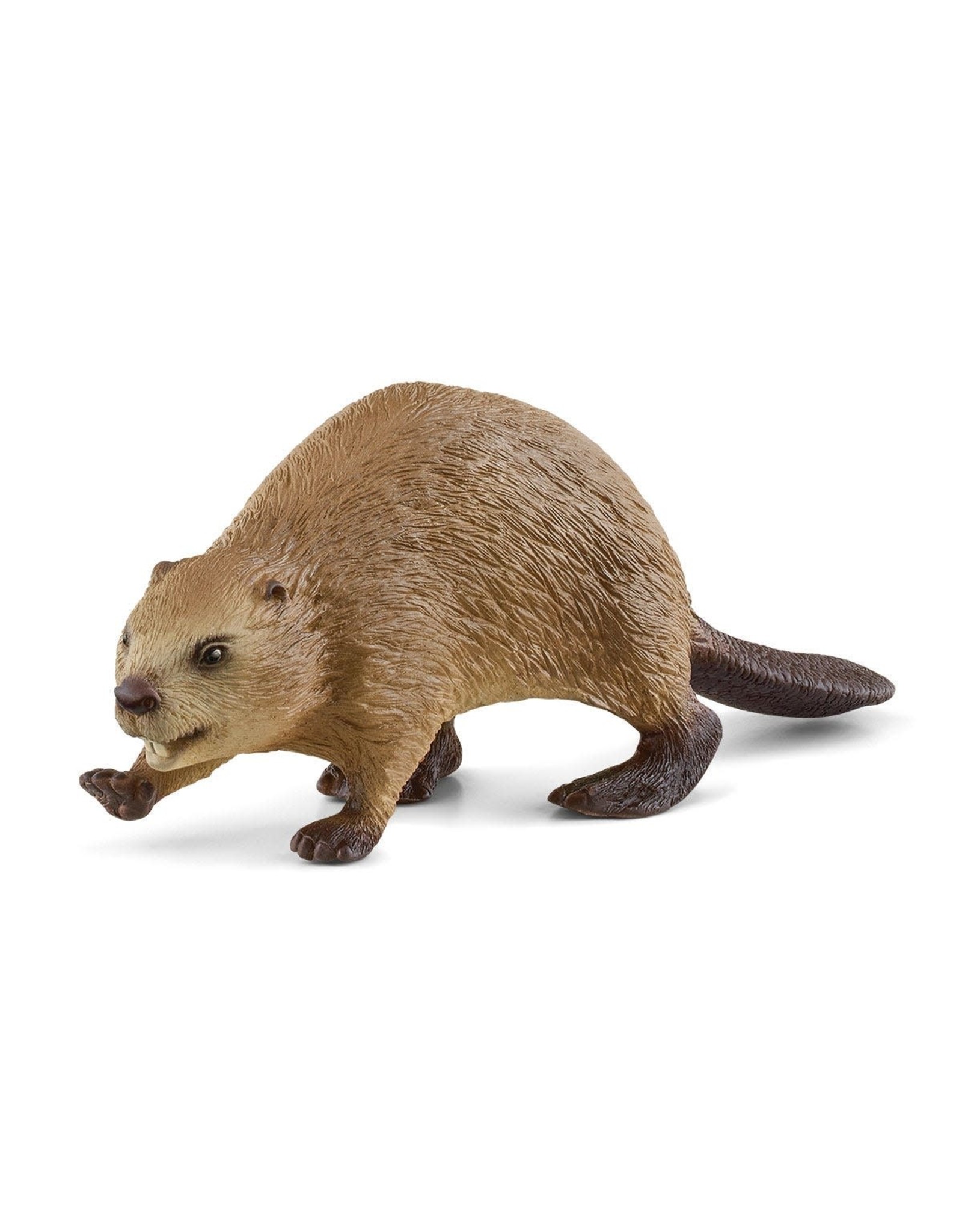 Schleich Beaver