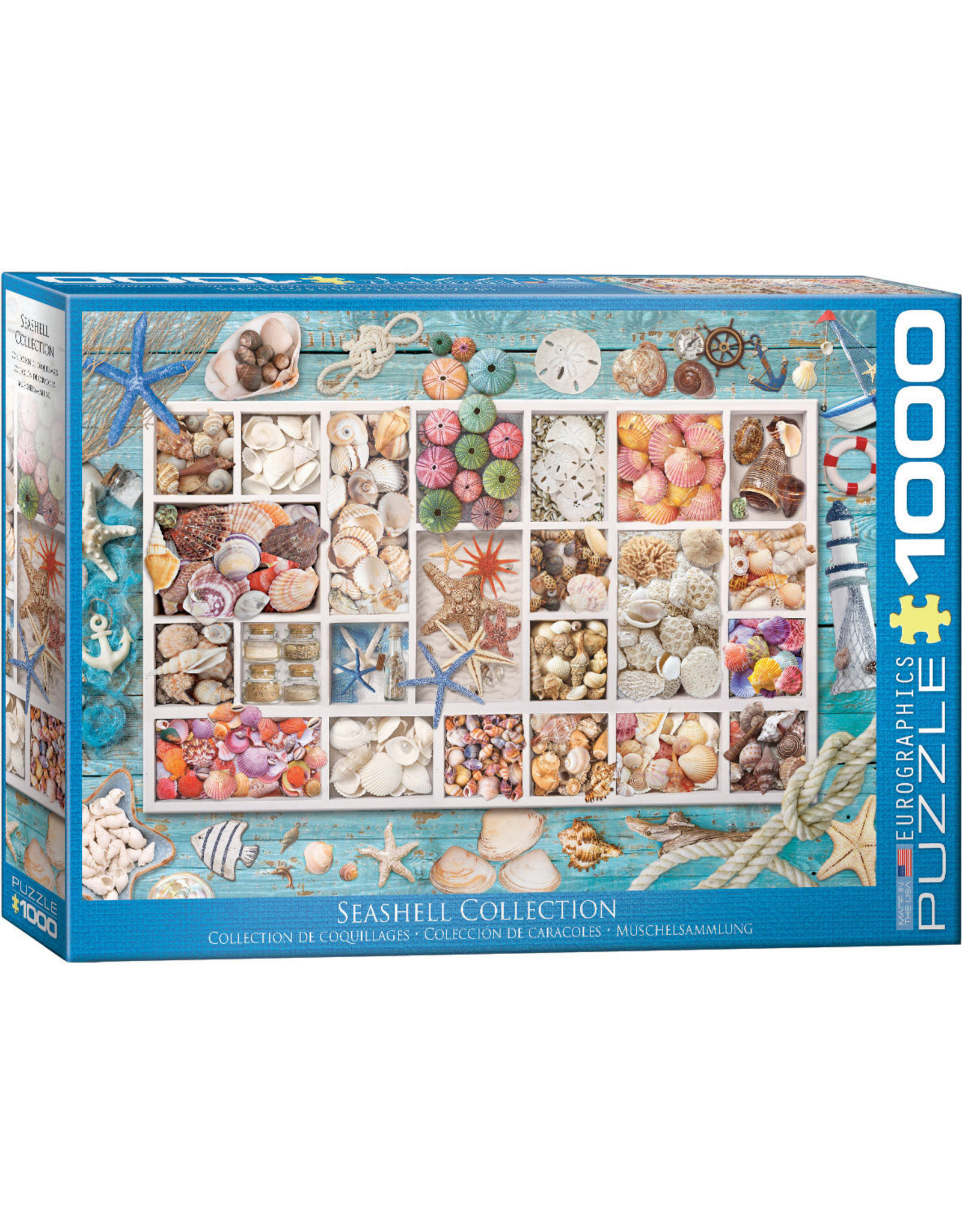 Eurographics Seashell Collection 1000pc