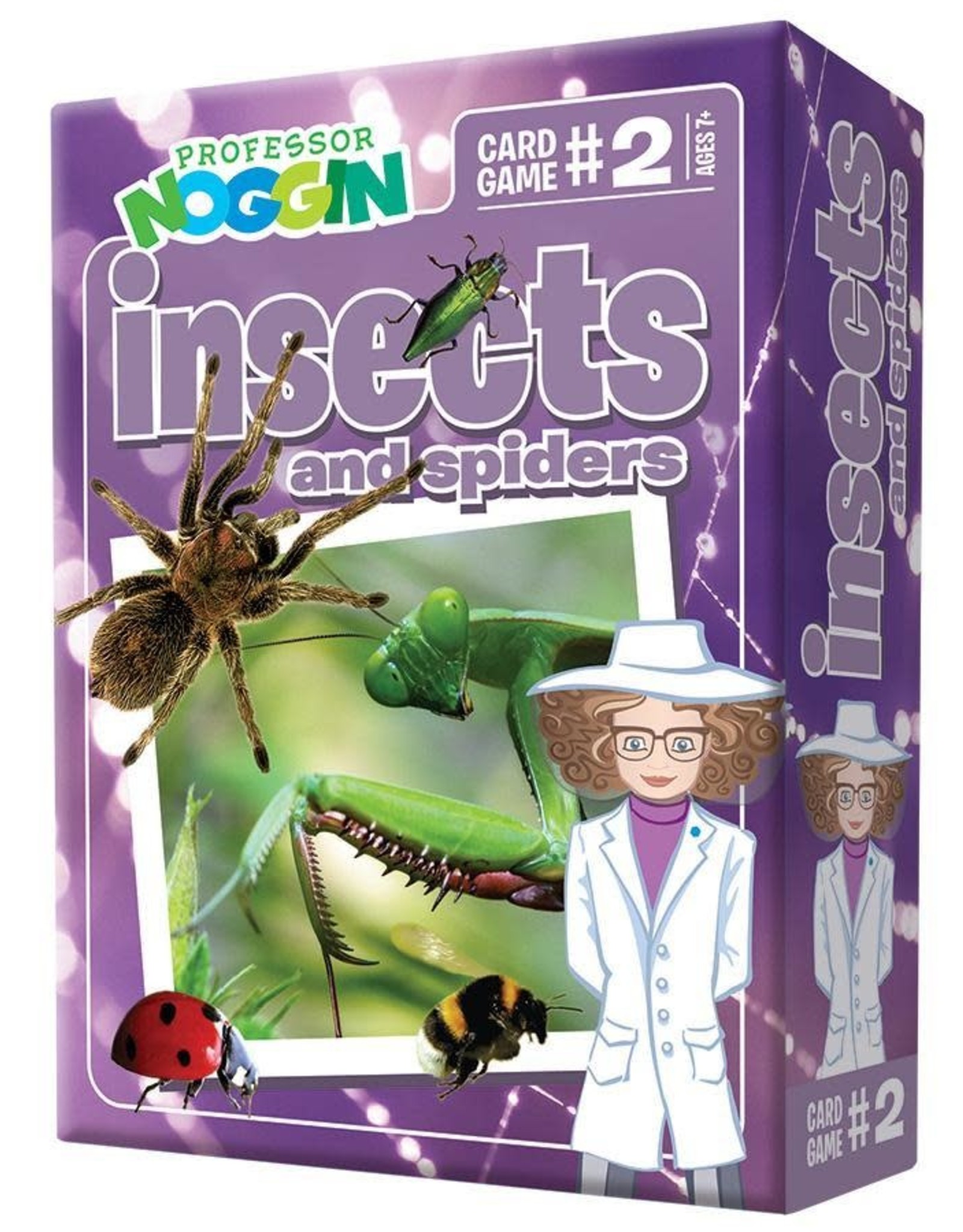Outset Media Professor Noggin Insects and Spiders
