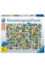 Ravensburger 99 Delightful Birds 300pc