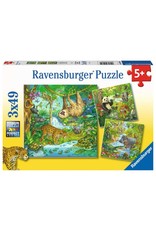 Ravensburger Jungle Fun 3x49pc (Discontinued)