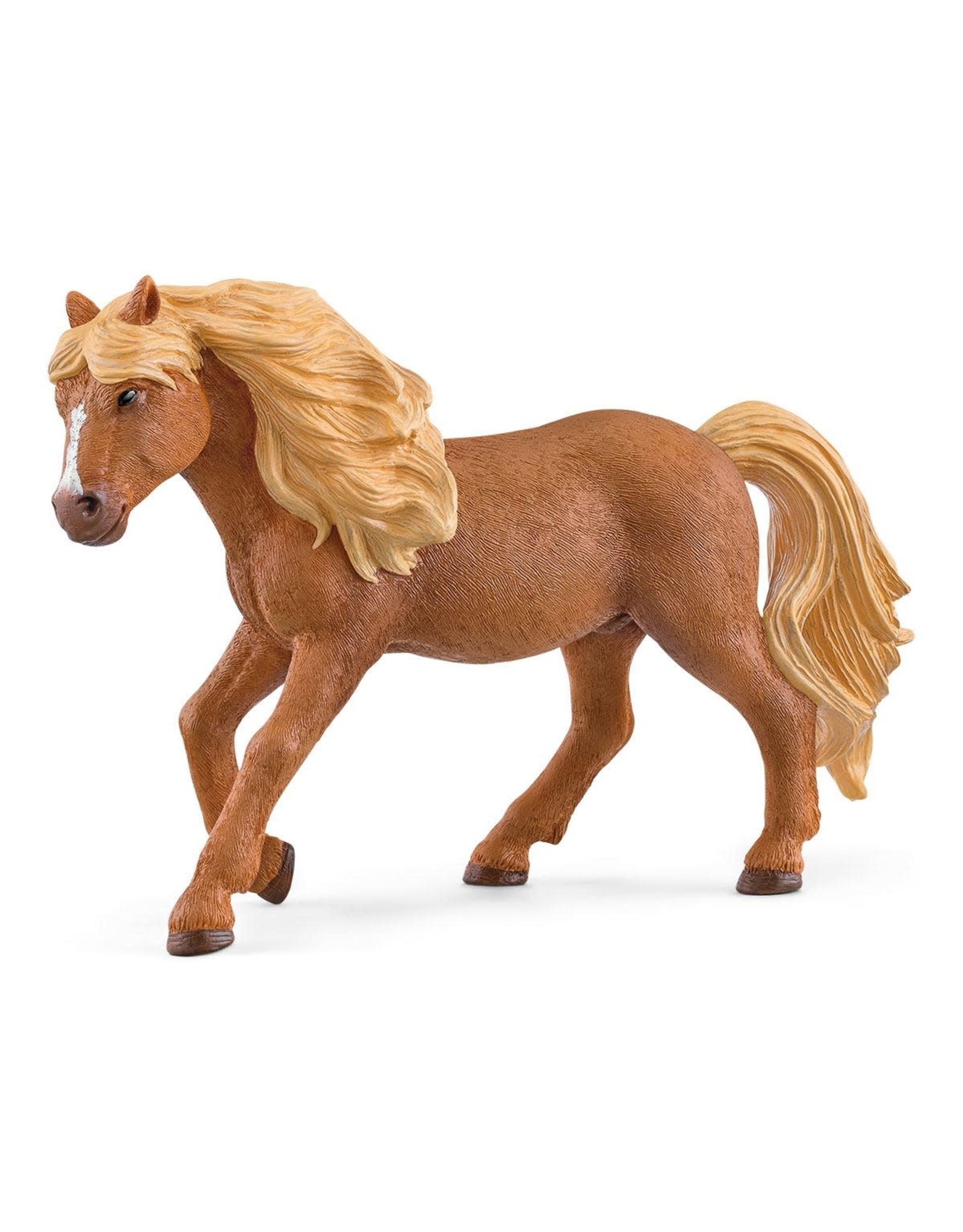 Schleich Icelandic Pony Stallion