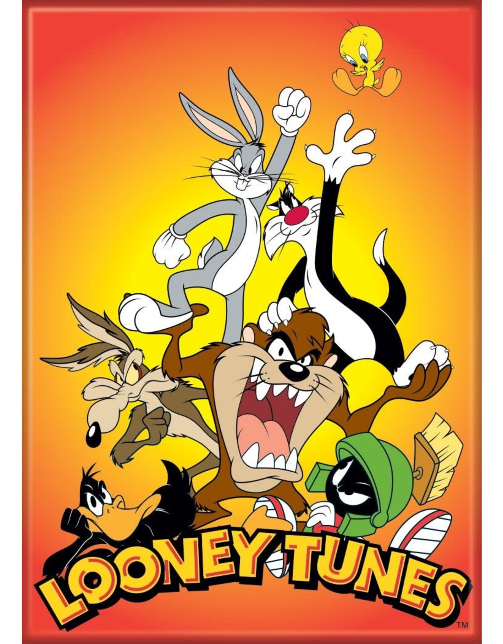 Looney Tunes Group Reach Flat Magnet