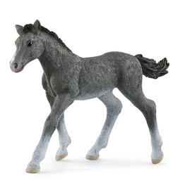 Schleich Trakehner Foal